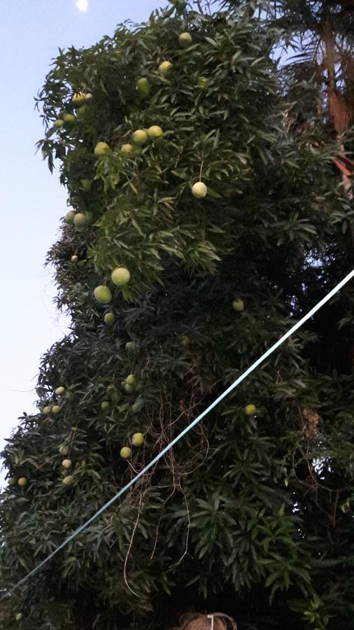 Pousada Catarina Maringá Buitenkant foto